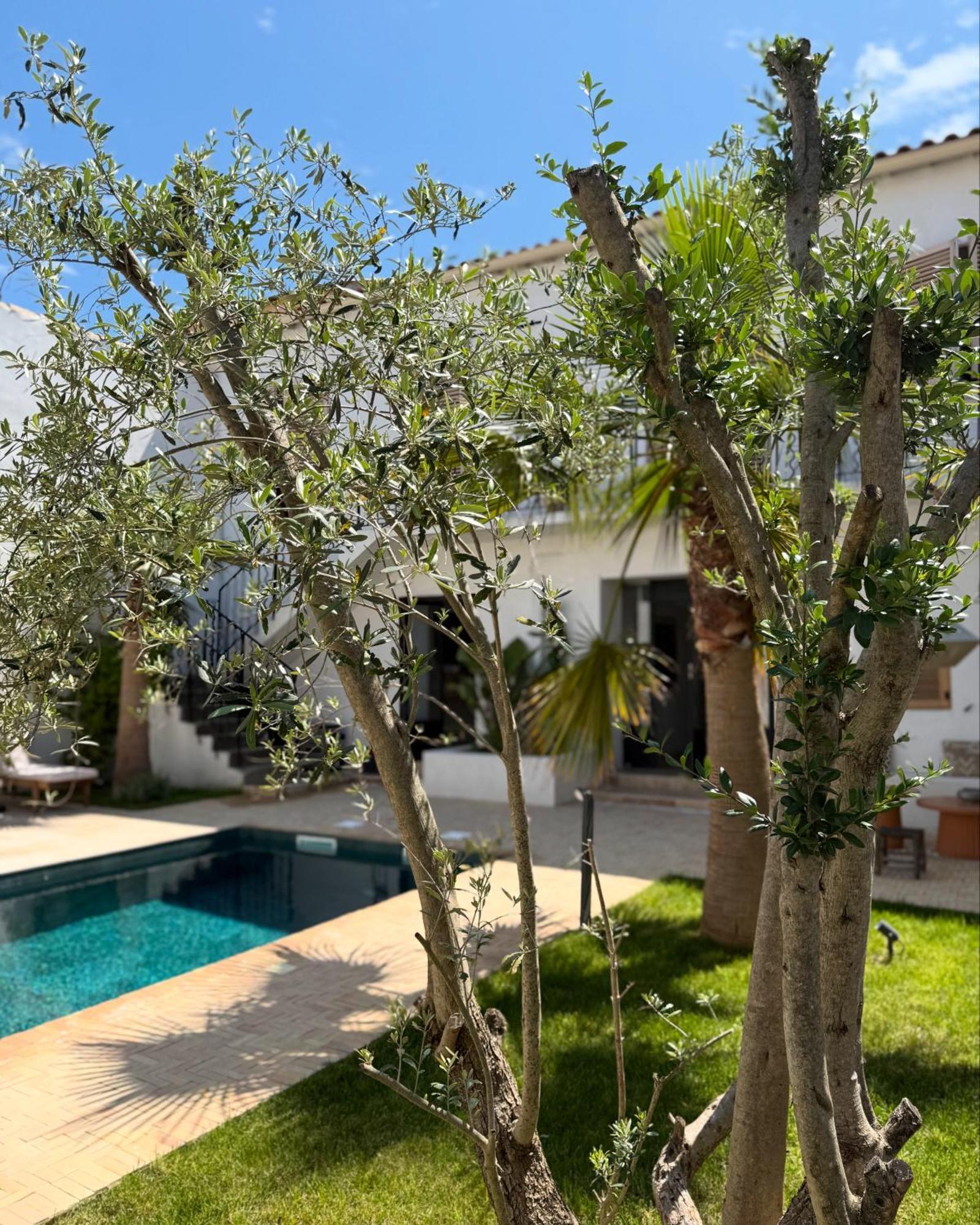La Maison De Ville - Piscine - Spa Sete Bagian luar foto